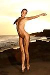 美しい 完全に ヌード 幅 モデル Melisa と ぴ 足 ポージング 月 の 野 ビーチ