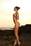 Belle Entièrement Nu brunette modèle Melisa Avec Parfait les jambes pose sur l' Sauvage plage
