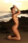 Belle Entièrement Nu brunette modèle Melisa Avec Parfait les jambes pose sur l' Sauvage plage