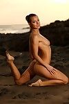 美丽的 完全 裸体的 黑发 模型 麦丽莎 与 完美的 腿 姿势 上 的 野生的 海滩