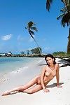 Moist uncovered Oriental Li Mei roams the beach as photos are snapped